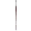 College 8730 Round Brush 12