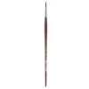 College 8730 Round Brush 6