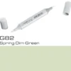 Copic Sketch G82 Spr.Dim Green