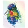 Diamond Dotz Rainbow Feathers – diamond painting, 22×27 cm, 2535 dotz