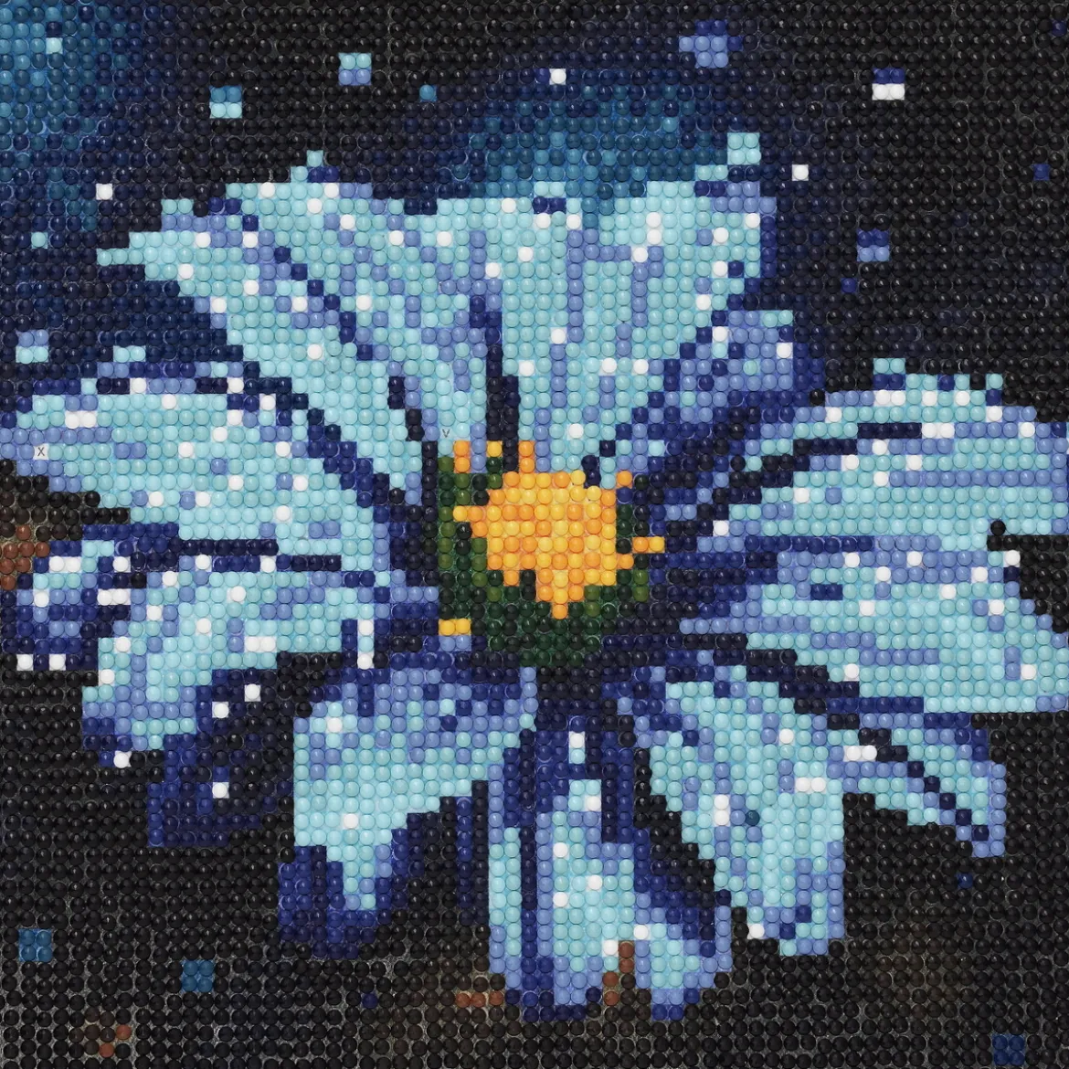 Diamond painting – 20×20 cm stort motiv med en majestätisk vithövdad havsörn