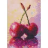 Diamond Painting körsbär, 20×30 cm väv + pärlor, silikon & pincett