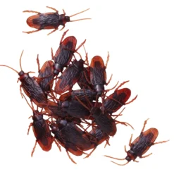 Krälande kackerlackor till halloween, 18 st L: 4,5 cm B: 2 cm
