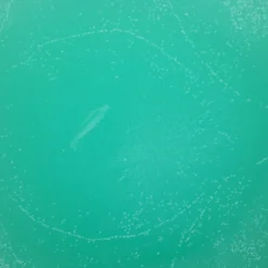 Ljuspigment, färgpigment för att tillverka ljus – turkos, 4 gram