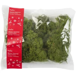 Mossa grön 100 g