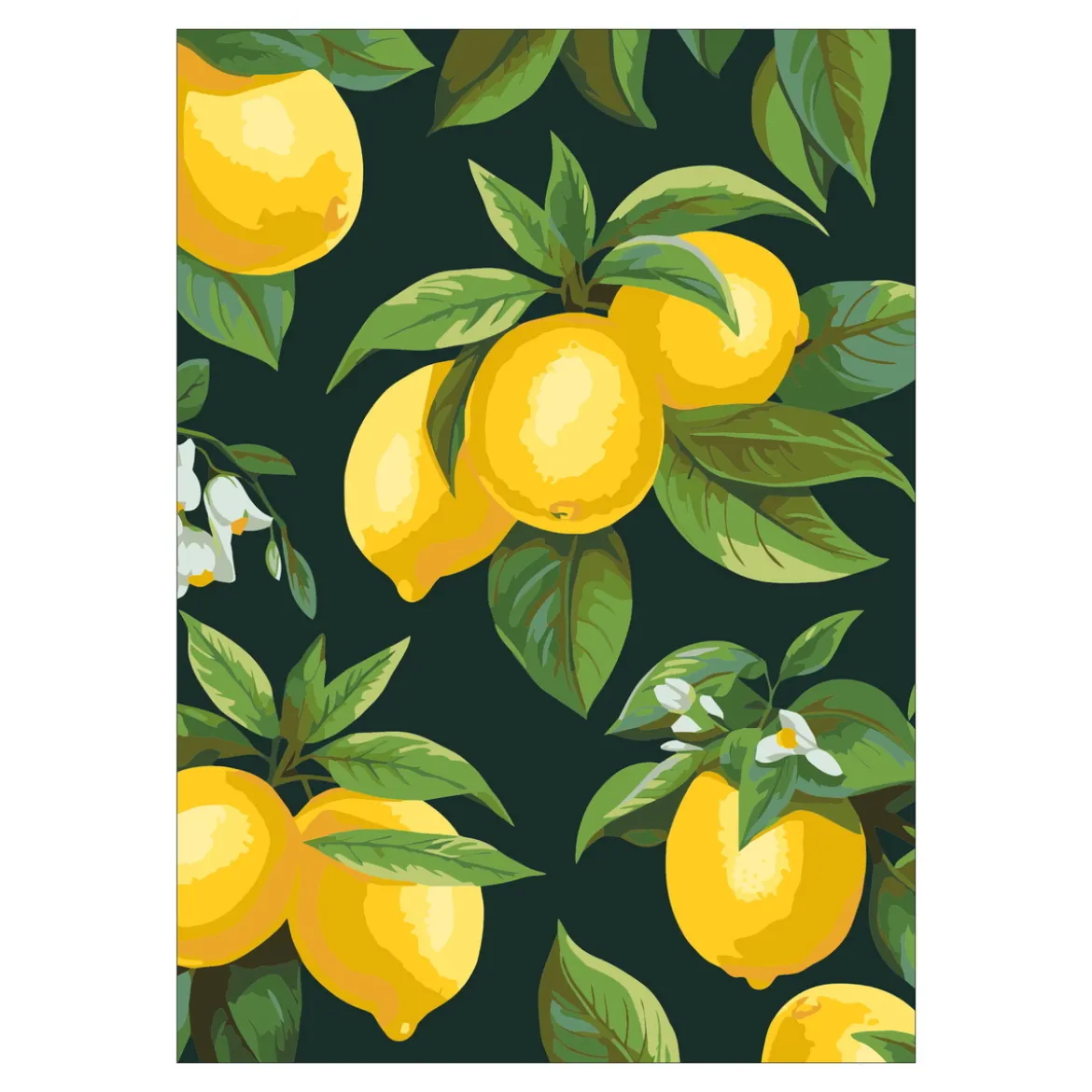 Paint by number / måla efter nummer – citroner, 25×35 cm + 18 färger & 3 penslar
