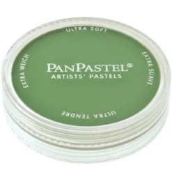 PanPastel torrpastell på burk, Chromium Oxide Green 660.5