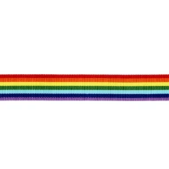 Rainbow ribbon 25mm/4m