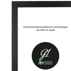 Ram 2E svart 13x18cm