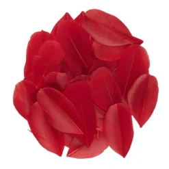 Röda små fjädrar från gås, längd 6–7 cm, förpackningen innehåller 3 gram