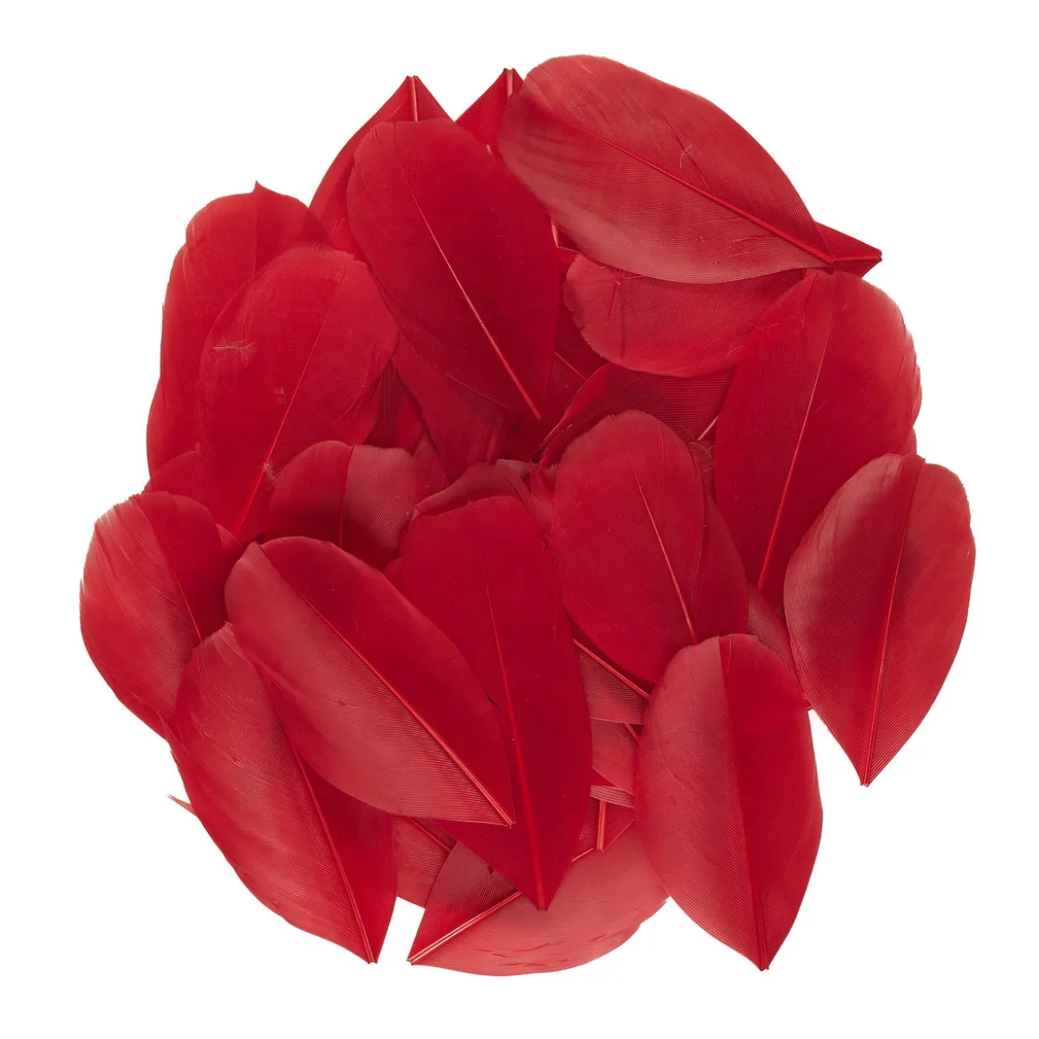 Röda små fjädrar från gås, längd 6–7 cm, förpackningen innehåller 3 gram