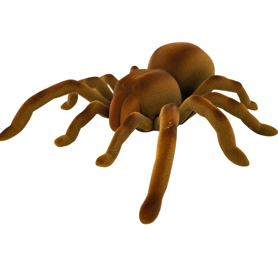 Real Wild Giant Spider – den supersnabba jättespindeln