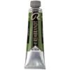 Rembrandt oljefärg 40 ml Sap Green - 623