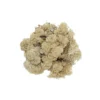 Renlav (vitmossa) 100 g