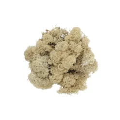 Renlav (vitmossa) 100 g