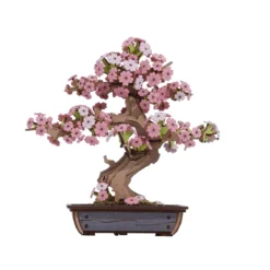 Rolife DIY Wooden 3D-träpussel Sakura bonsaiträd TG415 161×111×170 mm