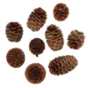 Salignum-kottar 40-pack