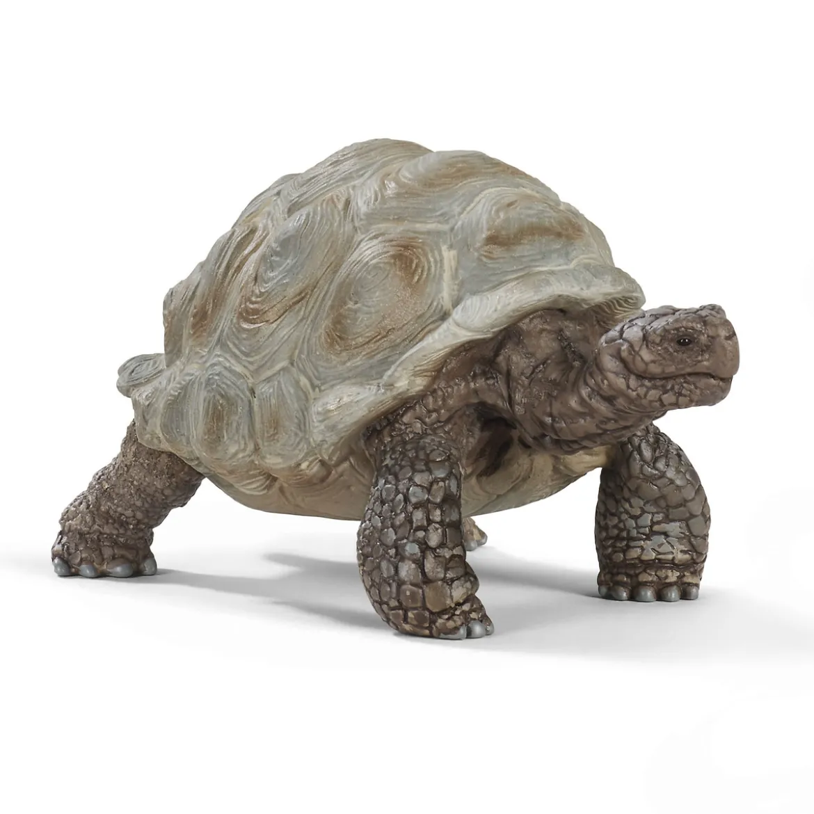 Schleich jättesköldpadda