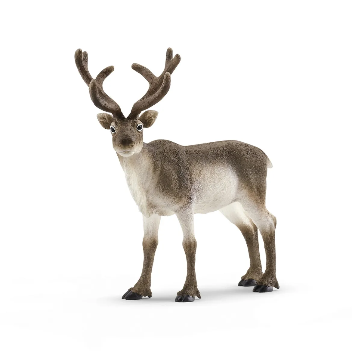 Schleich ren