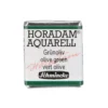 Schmincke Horadam akvarellfärg ½ kopp – Green earth 516