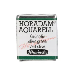 Schmincke Horadam akvarellfärg ½ kopp – Green earth 516