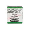 Schmincke Horadam akvarellfärg ½ kopp – Sap green 530