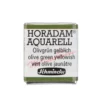 Schmincke Horadam akvarellfärg 5 ml – Sap green 530