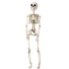 Skelett för halloween – 29 cm högt