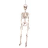 Skelett i plast för halloween 90 cm med rörliga leder