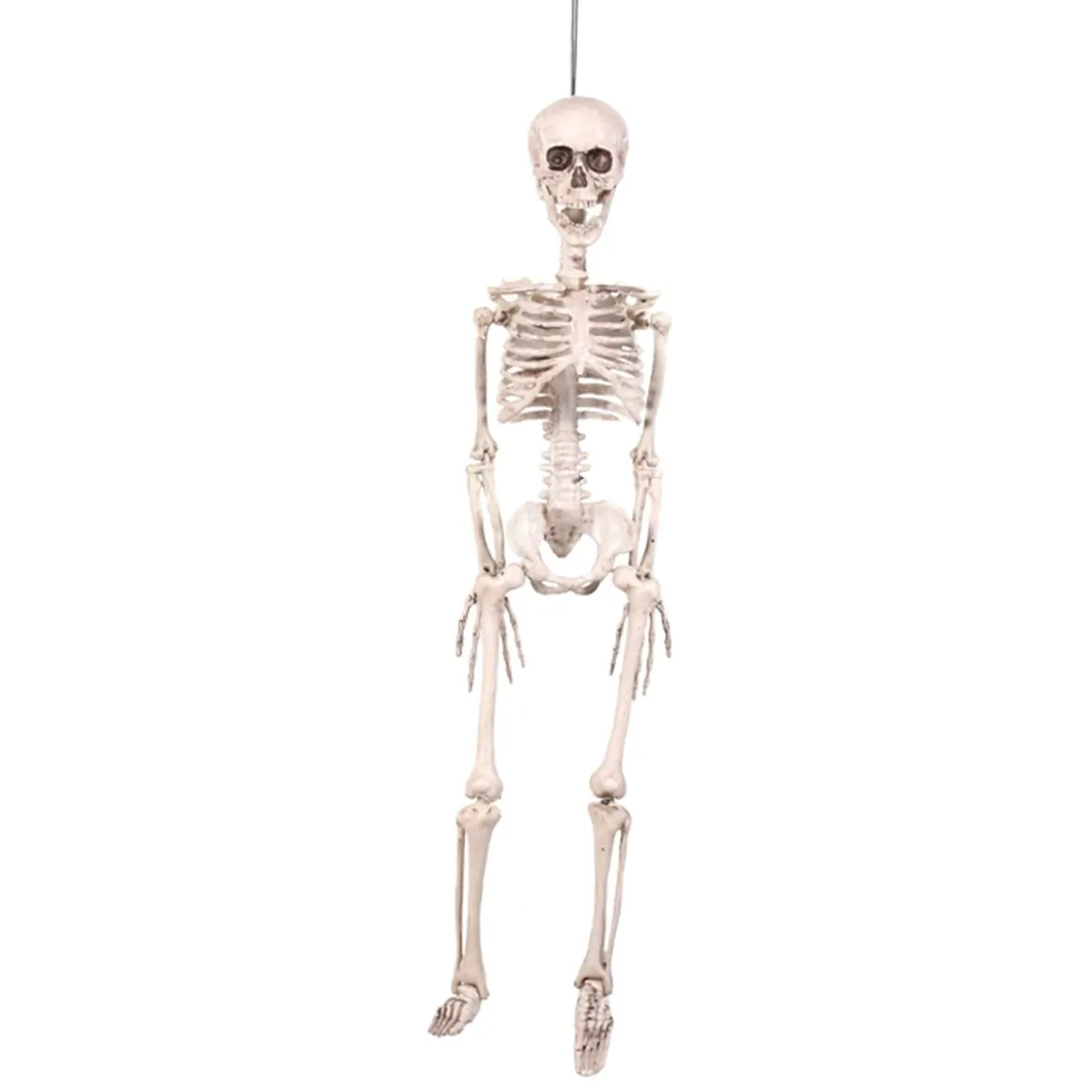 Skelett i plast för halloween 90 cm med rörliga leder