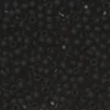TOHO-pärlor runda 11/0 – matt svart, 49F Transparent frosted jet black
