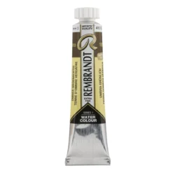 Water col 20ml Greenish umber