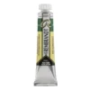 Water col 20ml Hooker green dp