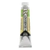 Water col 20ml Perm yell green