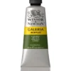 Winsor & Newton Galeria akrylfärg 60 ml Olive Green 447