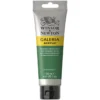 Winsor & Newton Galeria akrylfärg 120 ml Permanent Green Middle 484