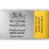 Winsor & Newton Professional akvarellfärg helkopp Indian Yellow 319