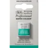 Winsor & Newton Professional akvarellfärg halvkopp Davy´S Grey 217