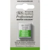 Winsor & Newton Professional akvarellfärg halvkopp Permanent Sap Green 503