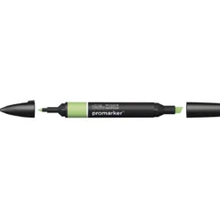 Winsor & Newton Promarker Apple (G338)