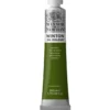 Winsor & Newton Winton oljefärg 200 ml Sap Green 599